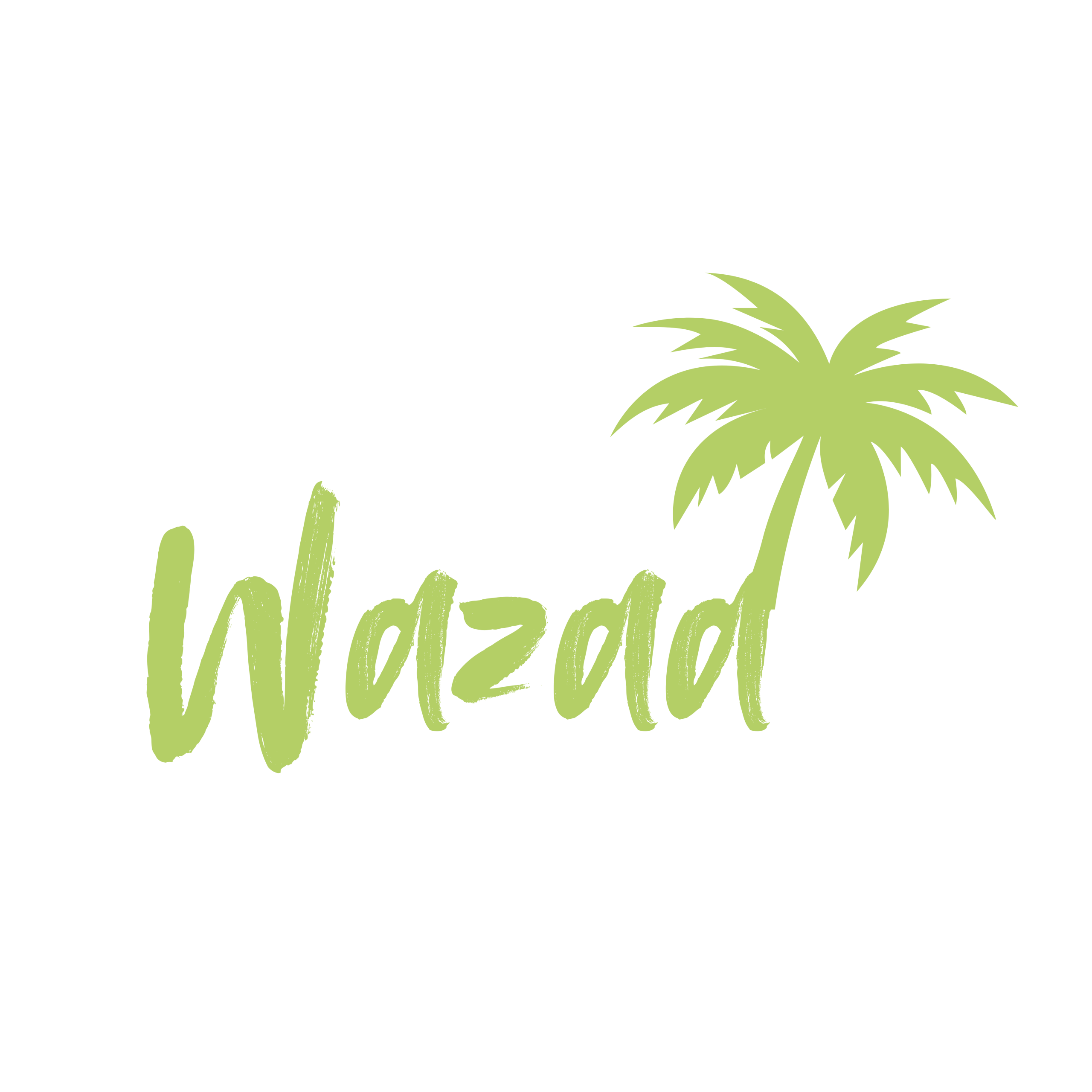Wazaa
